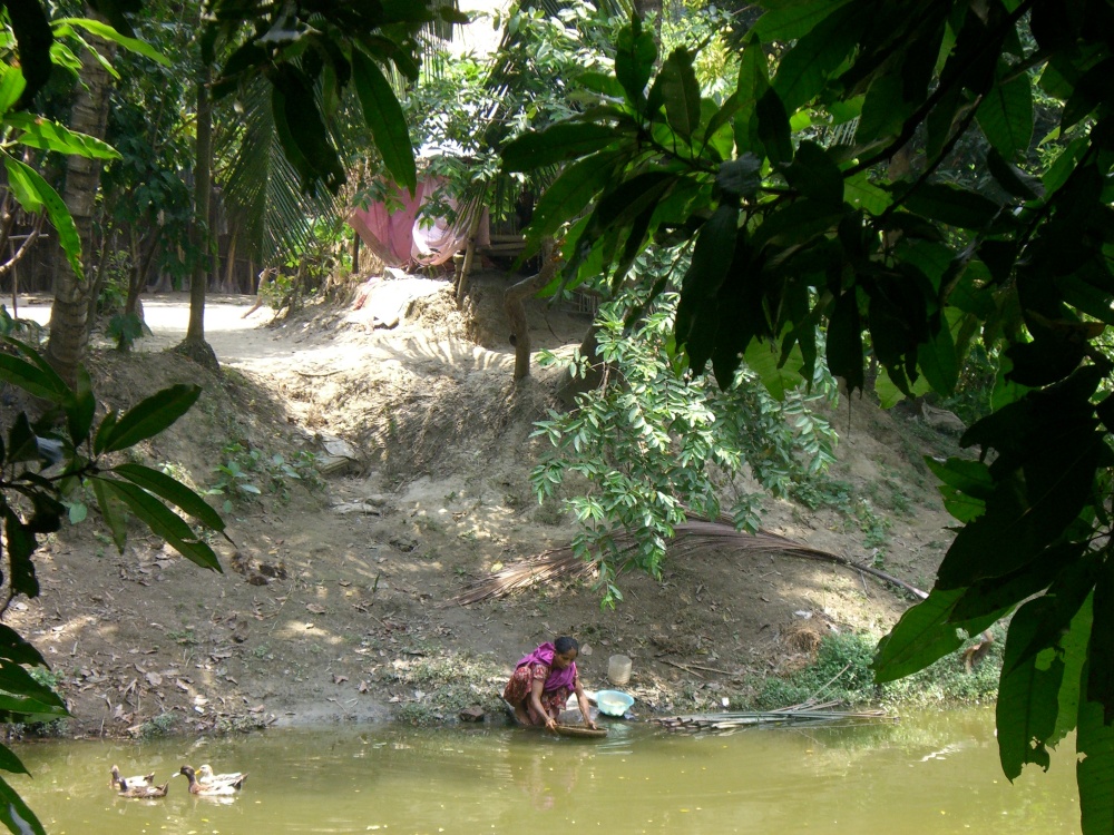 Woman_Washing_at_Water's_Edge,_Bangladeshi_Village
